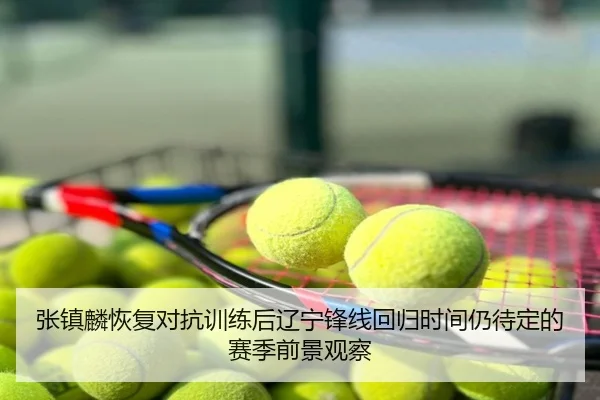 张镇麟恢复对抗训练后辽宁锋线回归时间仍待定的赛季前景观察